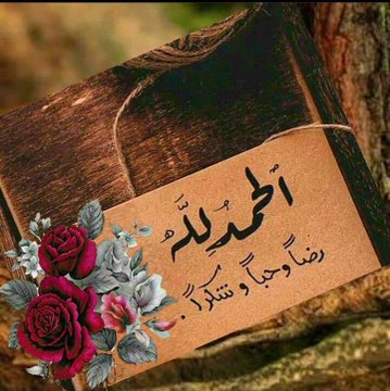 🅷🅰🅼🅴🅳 🩸 tweet media