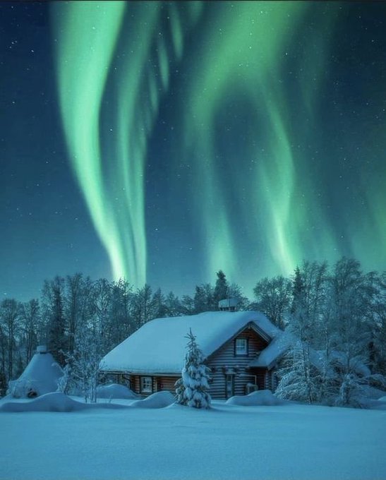 SusanneLeist's tweet image. The picturesque Blue Harbor becomes a nightmare as a sinister curse resurfaces, and the bodies begin to fall.          

MEET ME IN MAINE

amzn.to/3YKZKqN

bit.ly/3gj85hz

#MysteryLovers  #ReadingNook  #AuthorLife