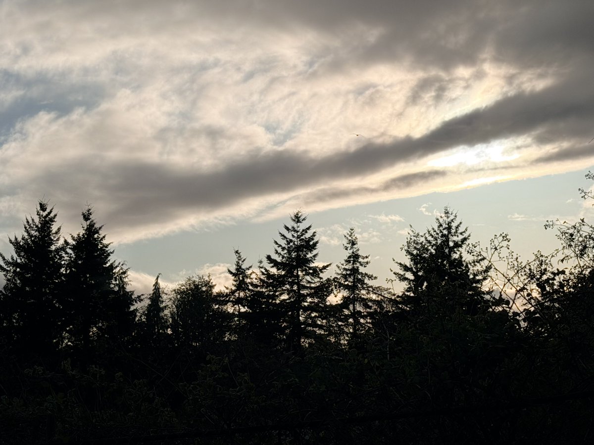 Jenny King tweet media