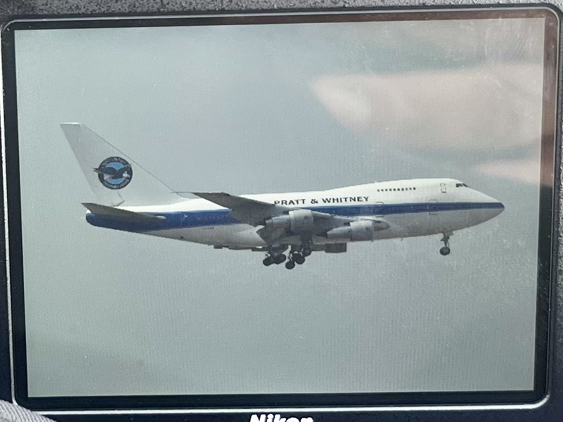 Springbok tweet media