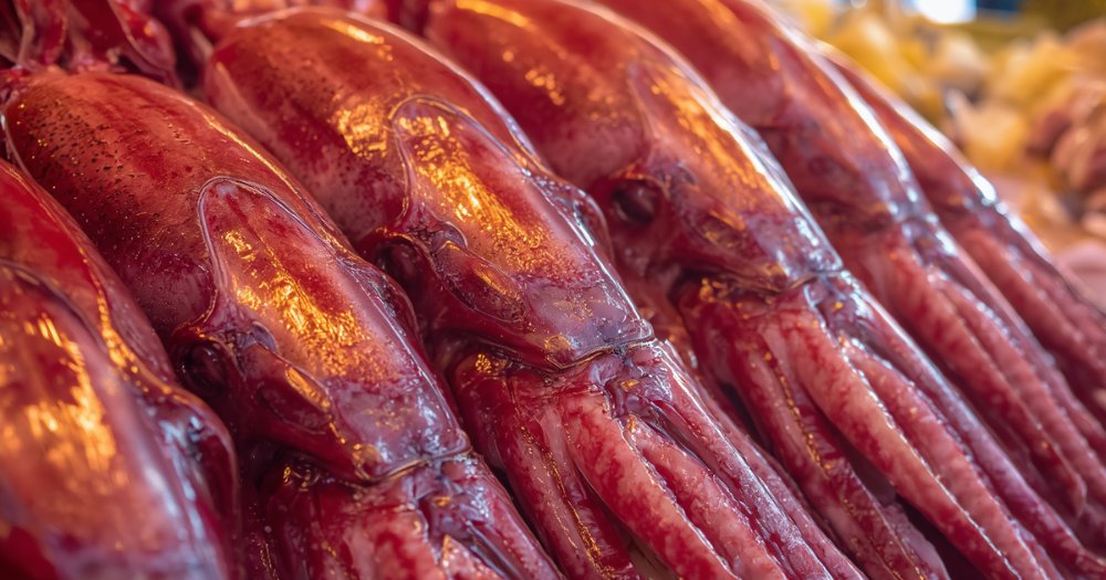 Mothership tweet media