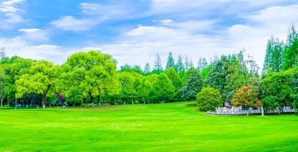 " जिसकी प्रकृति परायापन है 
उसको अपना मान लेना ही दुख है ।
