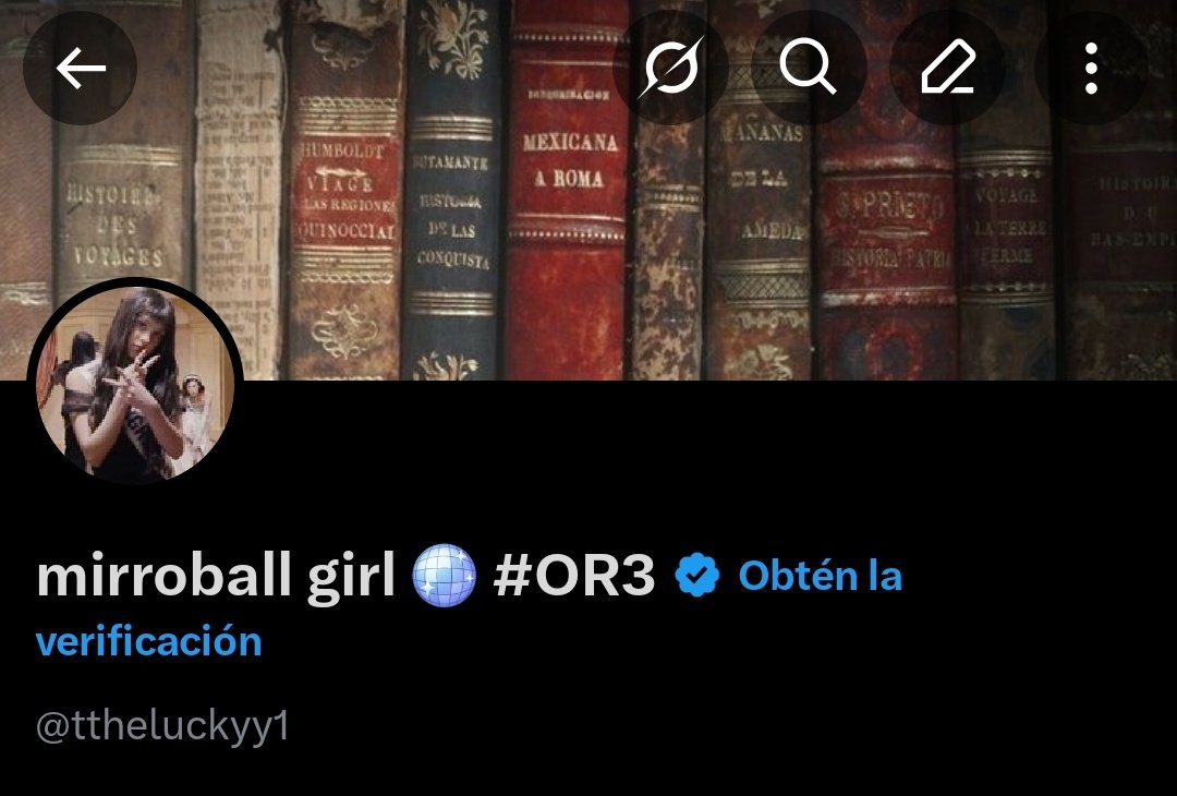 mirroball girl 🪩 #OR3 tweet media