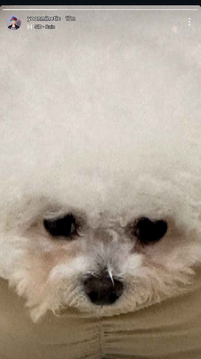 ⋆. 𐙚˚࿔ 𝐯𝐢𝐭𝐚𝐦𝐢𝐧𝐢𝐞𝐞𝐞 ᯓ★𖹭.ᐟ tweet media