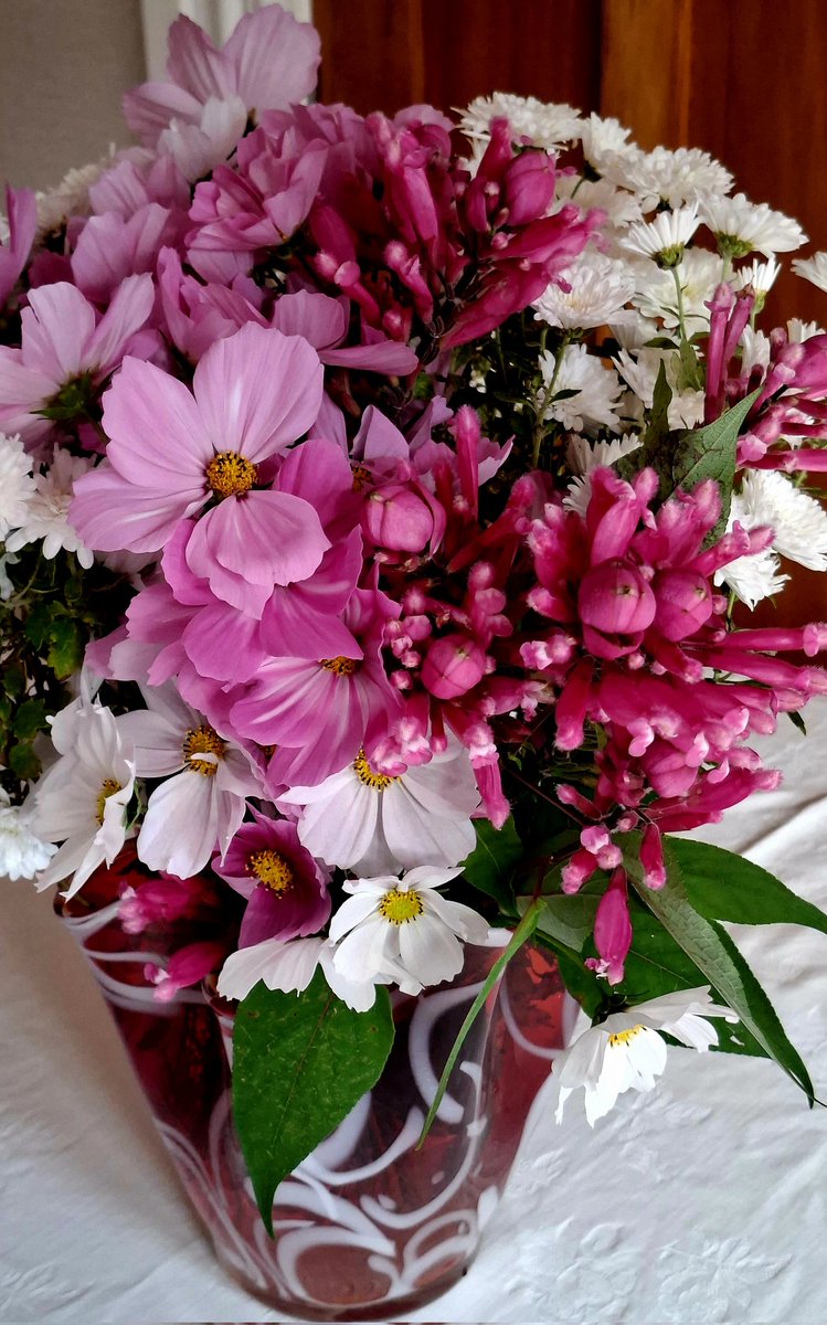 GabyLynch9's tweet image. In my next life I'm coming back as a florist 🤣 #JustKidding #WhatsInYourVase
