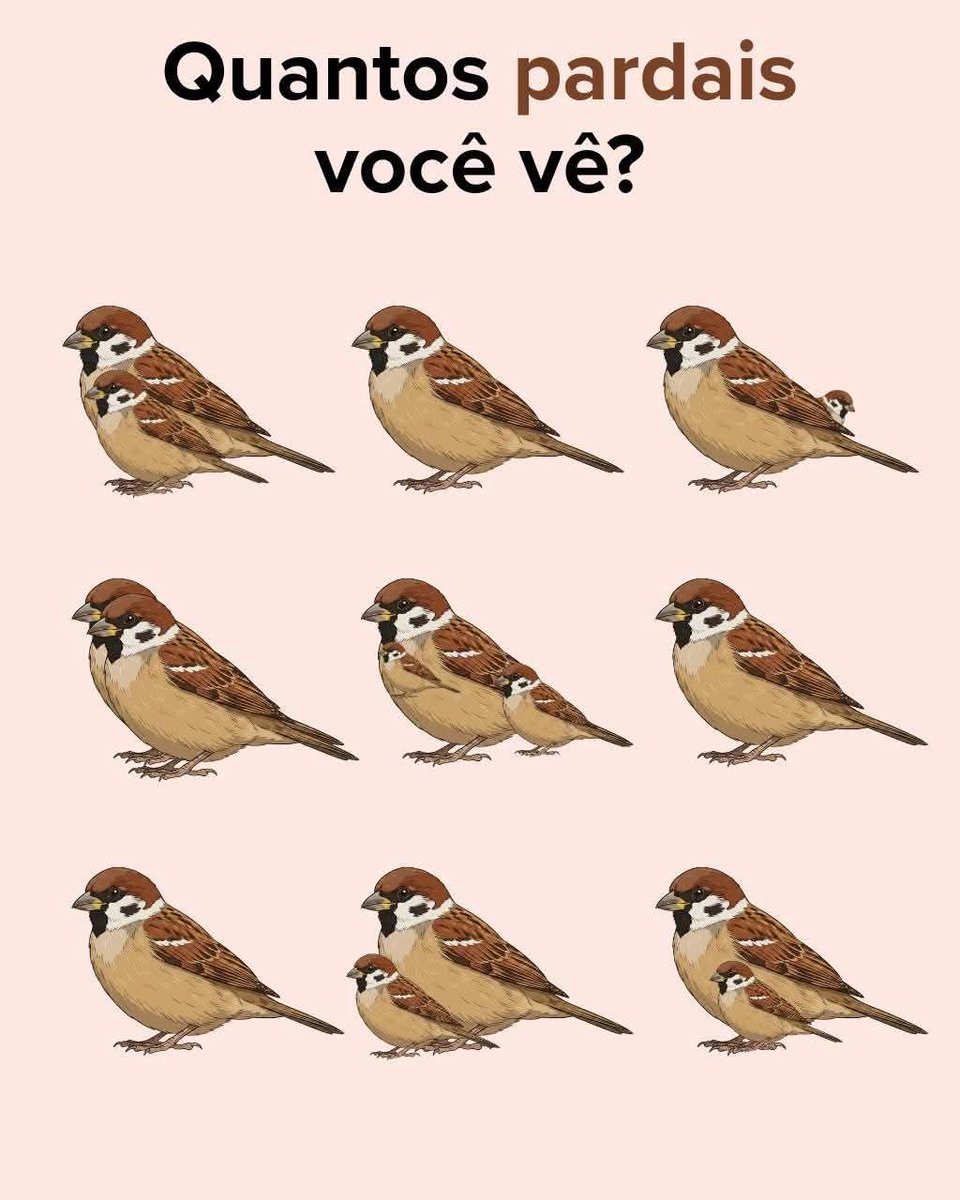 Professora Tati tweet media