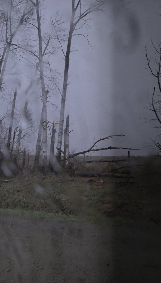 August S WX tweet media