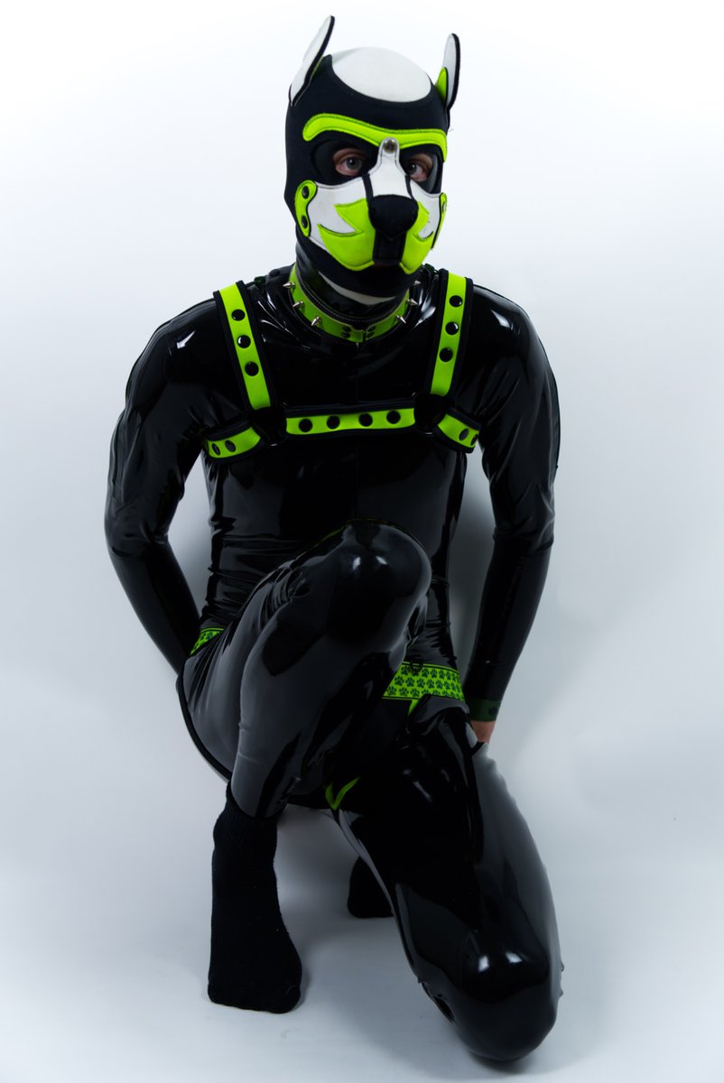 Fluke_AD's tweet photo. I can be your 🦡 or your 🐶

(New account!) https://t.co/3rjKuNUTGM
