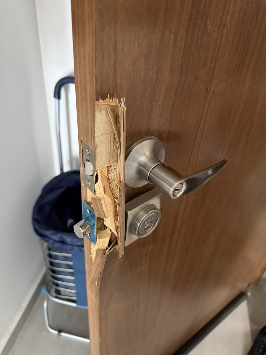 ✖️ Caprimint ✖️ tweet media