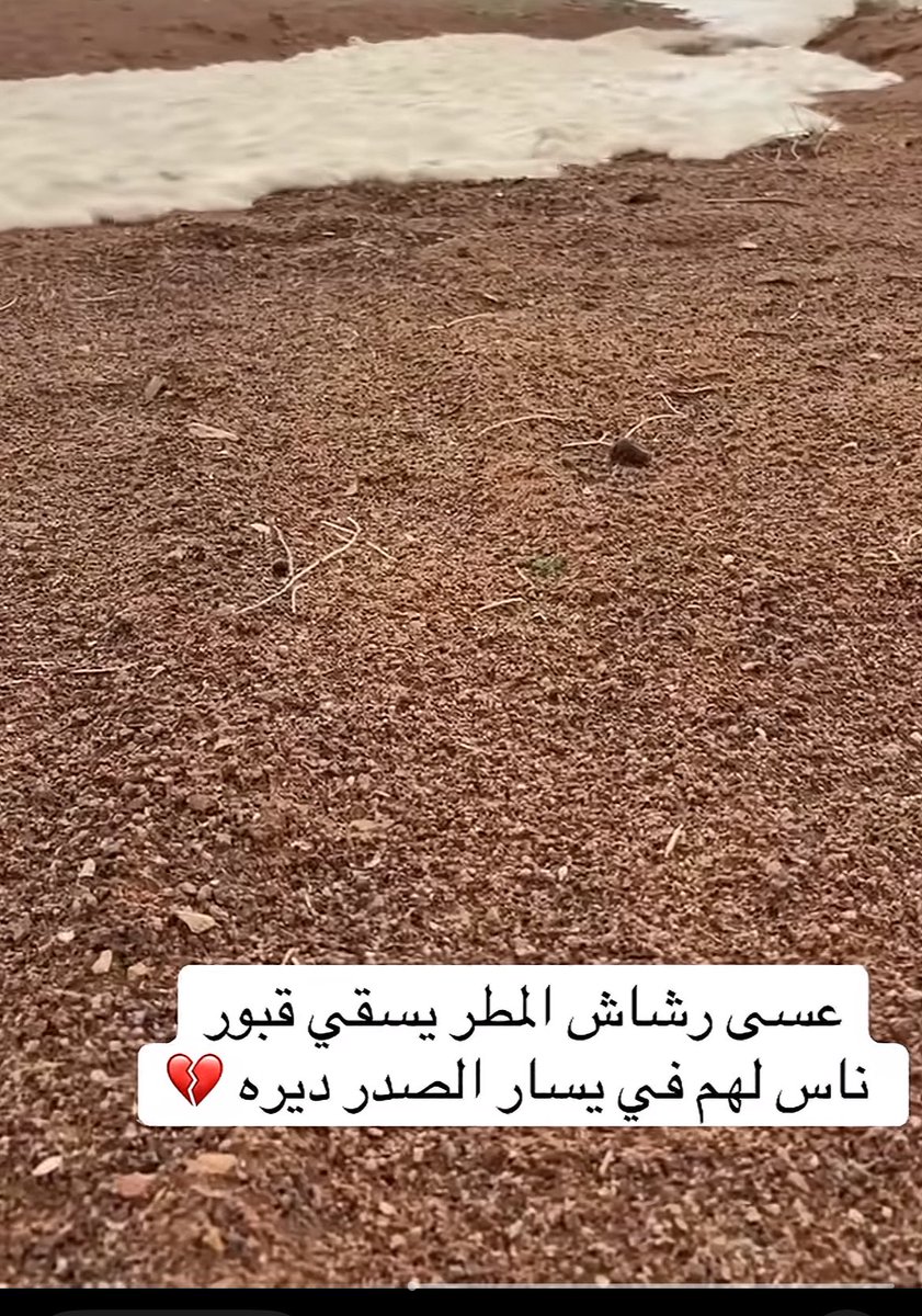 بدور tweet media