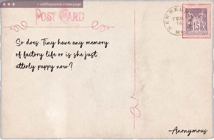 Miss Edith tweet media