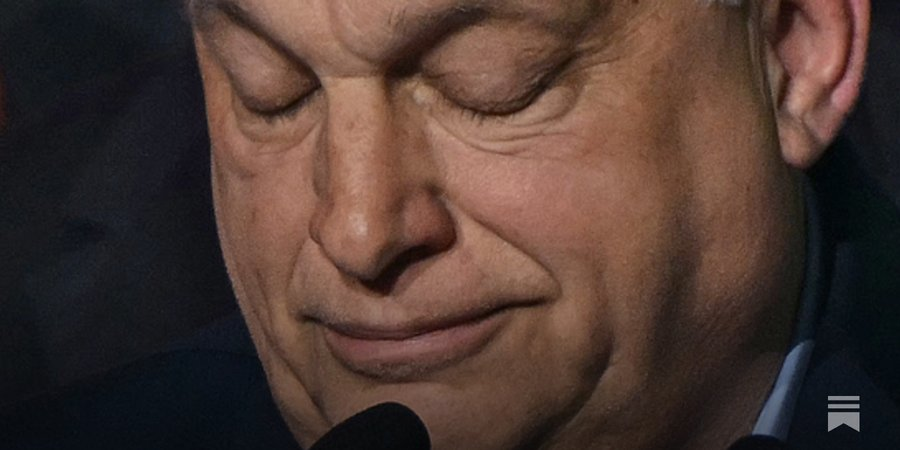 Mike Young tweet media