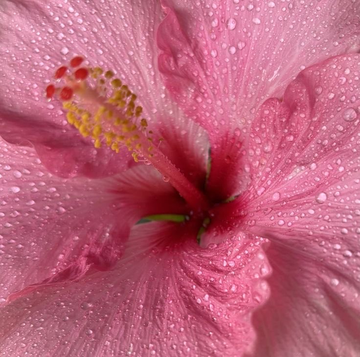 Kat🥥🍋‍🟩 tweet media