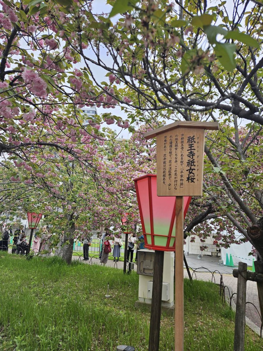 森脇健児のぶっとび水曜日 tweet media