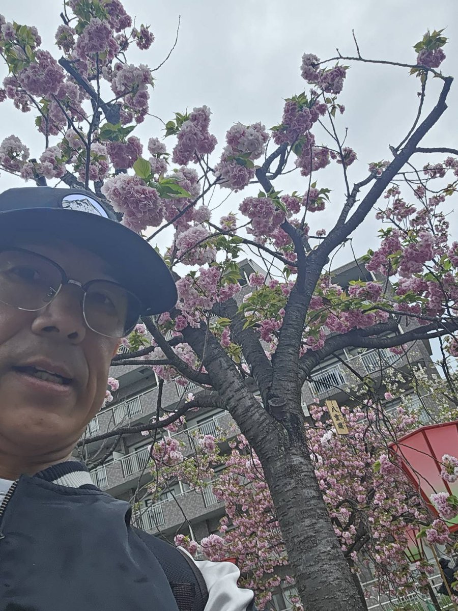 森脇健児のぶっとび水曜日 tweet media