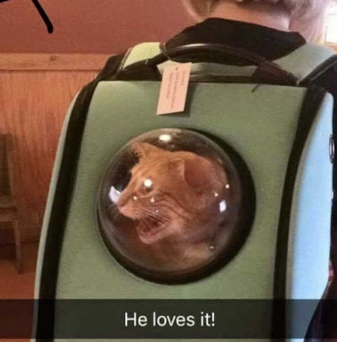 Hero Thousandfaces tweet media