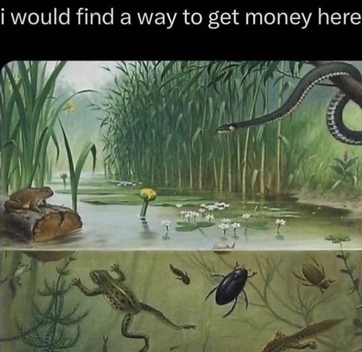 accthvasc's tweet image. 