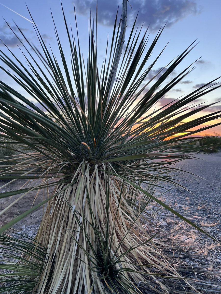 NewMexicoVibes's tweet image. Well it’s official…a big piece of my heart will soon be in California.  My daughter has decided to attend Harvey Mudd College in the fall.  It was a tough decision for her; she had some really great options, but she is happy.  And I am proud of her.  #NewMexico