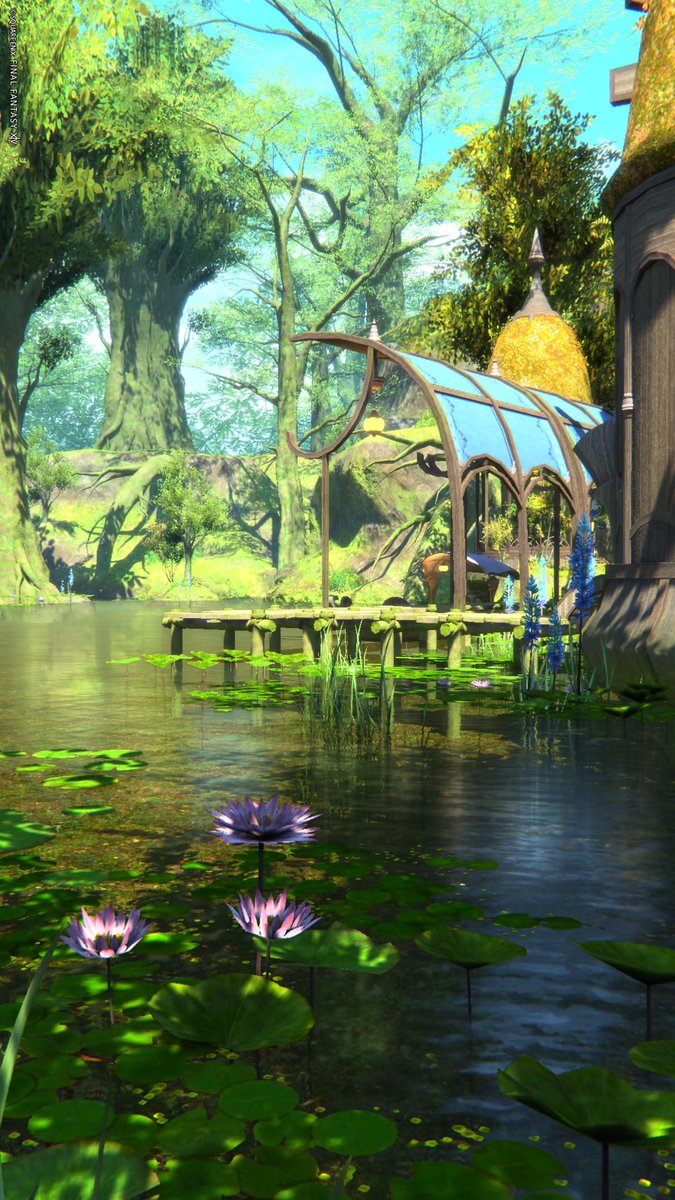 Rishido_Cuore's tweet image. 🌳🟦🪷🪻

#FF14風景
