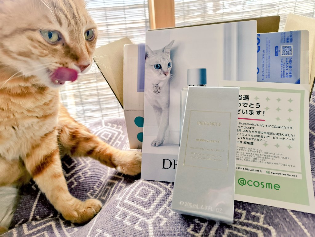 chocorine's tweet photo. アットコスメさんのプレゼント当選しました🎁コスメデコルテ イドラクラリティ 薬用ブライト ニング エッセンス ウォーター✨リーフレットにゃんが可愛い😻これから陽が強くなってくるので助かります☀ω☀ https://t.co/gNgwSJkulZ