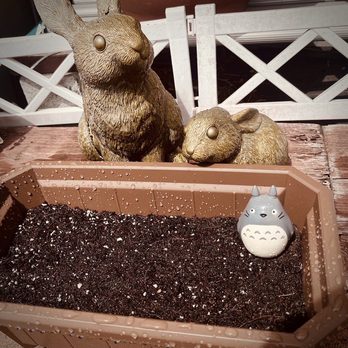 RUBBISH ART tweet media