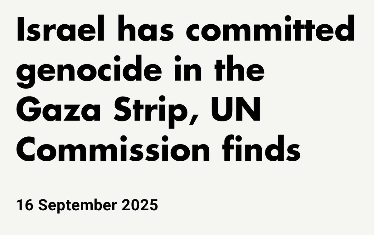 Adam ☘️🇵🇸 tweet media