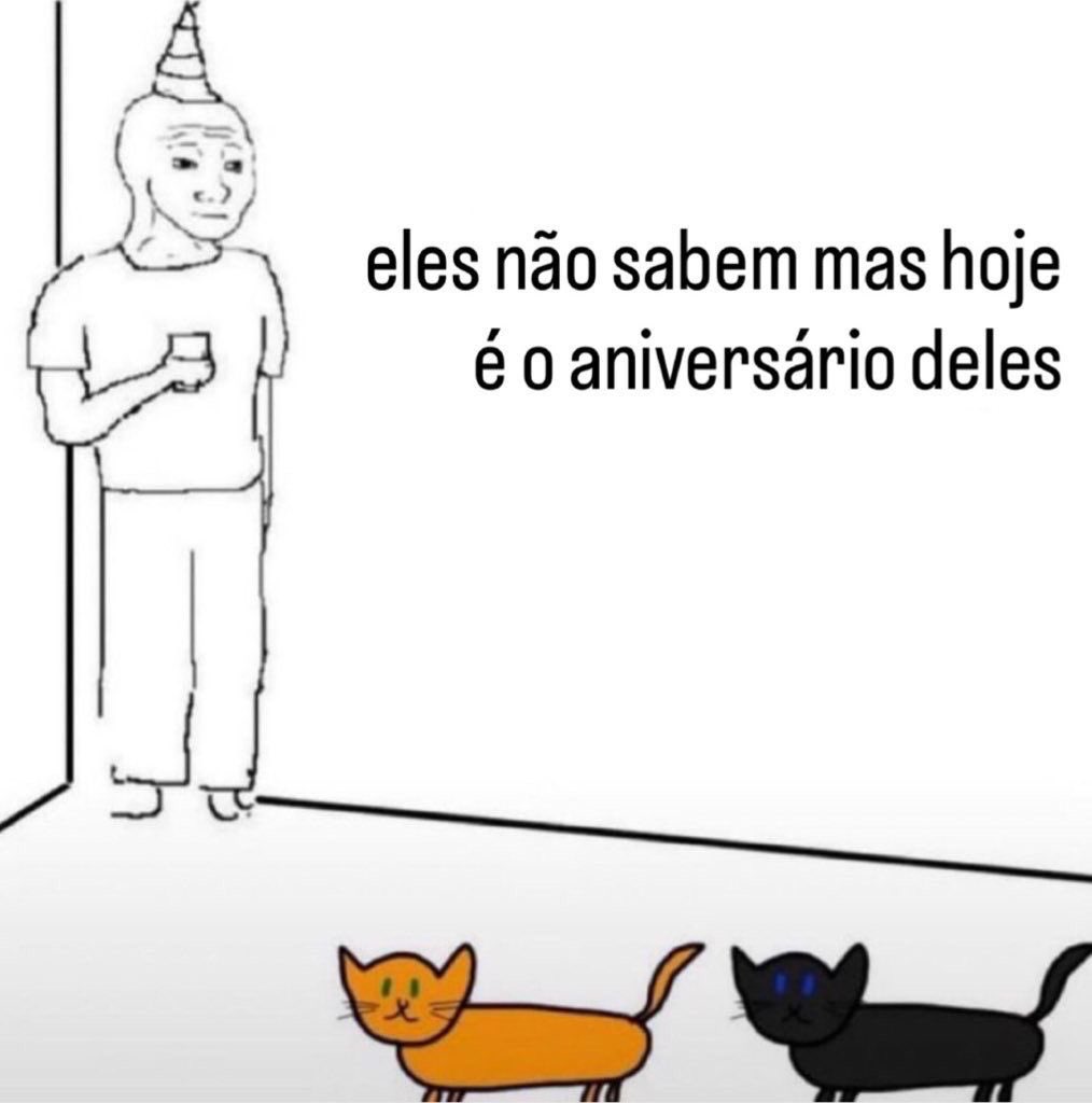 gatos fazendo gatices (@gatinarios) on Twitter photo 