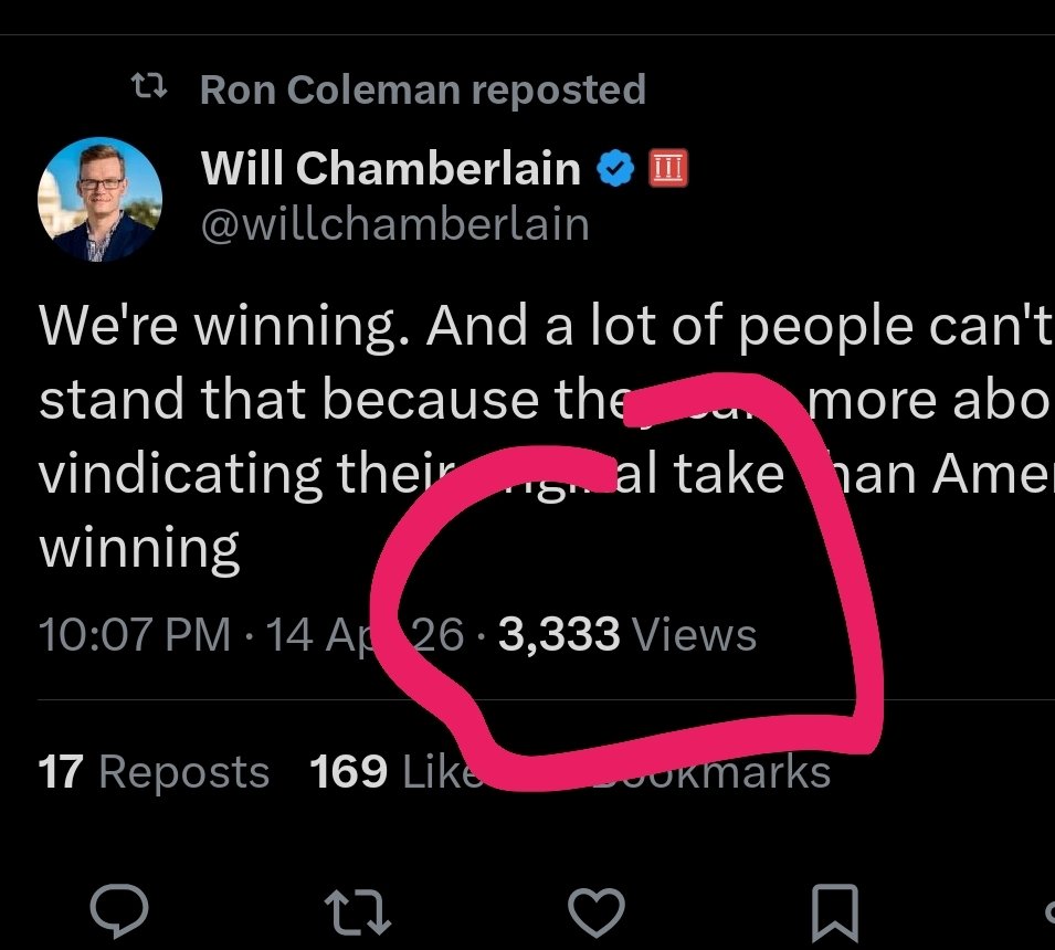 Dan Bilzerian for Congress tweet media