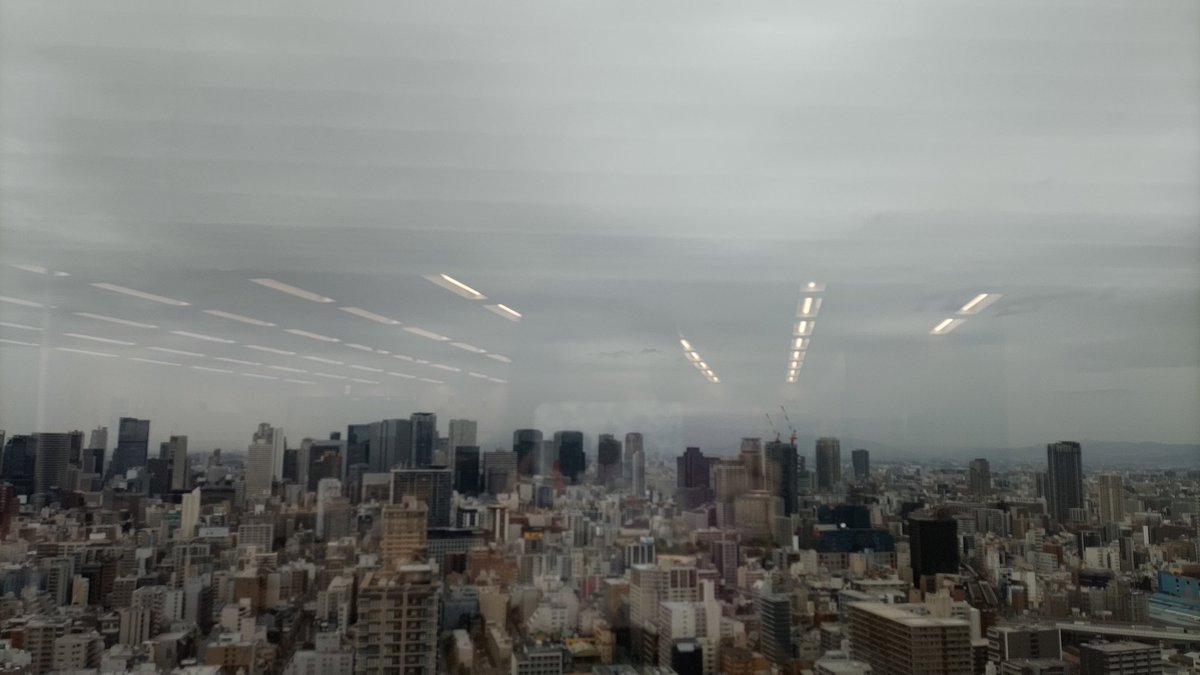 さとちゃん tweet media