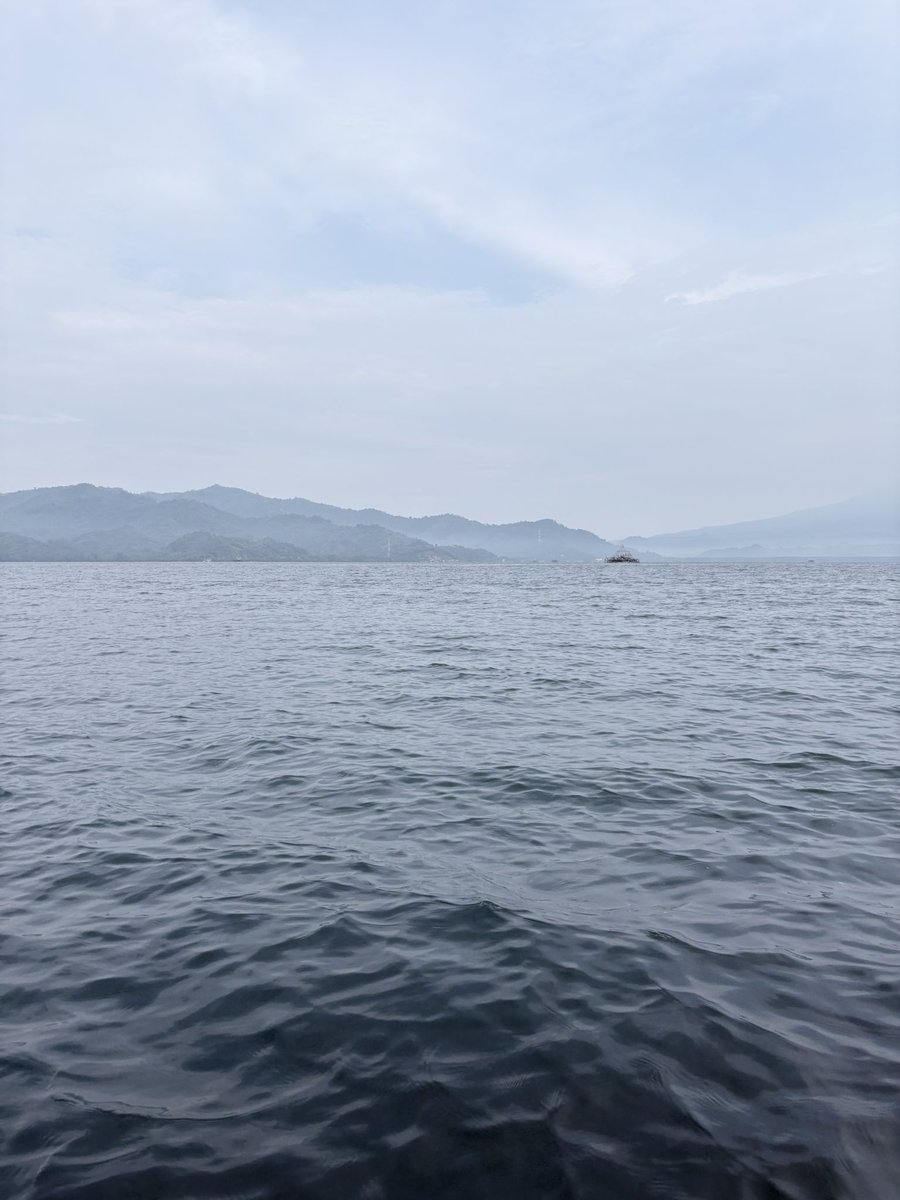 Gio Deruno | Gina Deluna 🧪💥 tweet media