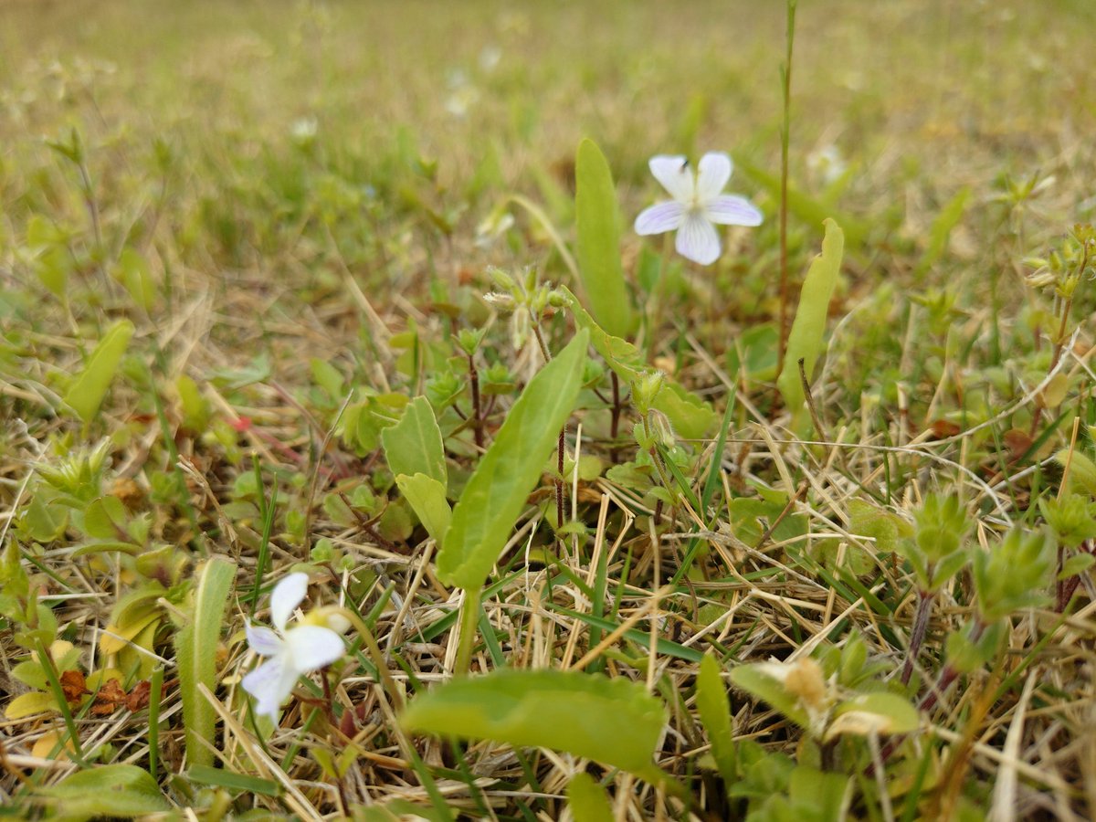 吉田英樹 tweet media