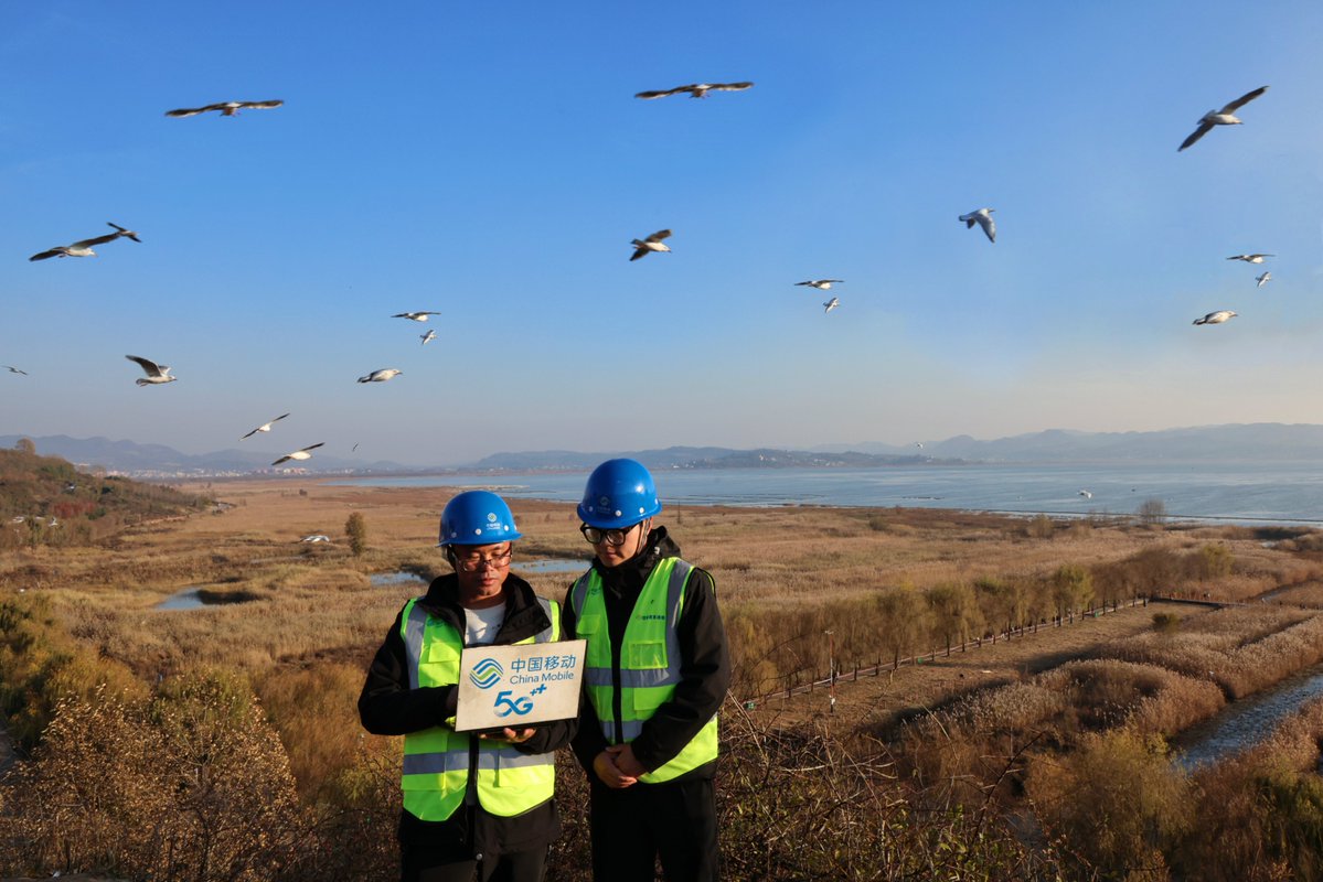 ChinaMobile7's tweet image. 🌿China Mobile boosts rural revitalization in #Guizhou’s #Bijie with 12,000+ 5G base stations, enabling e-commerce, smart mining and eco-protection, driving green, high-quality development.
#5G #RuralDevelopment #Ecommerce #Sustainability #SmartMining @iloveguizhou