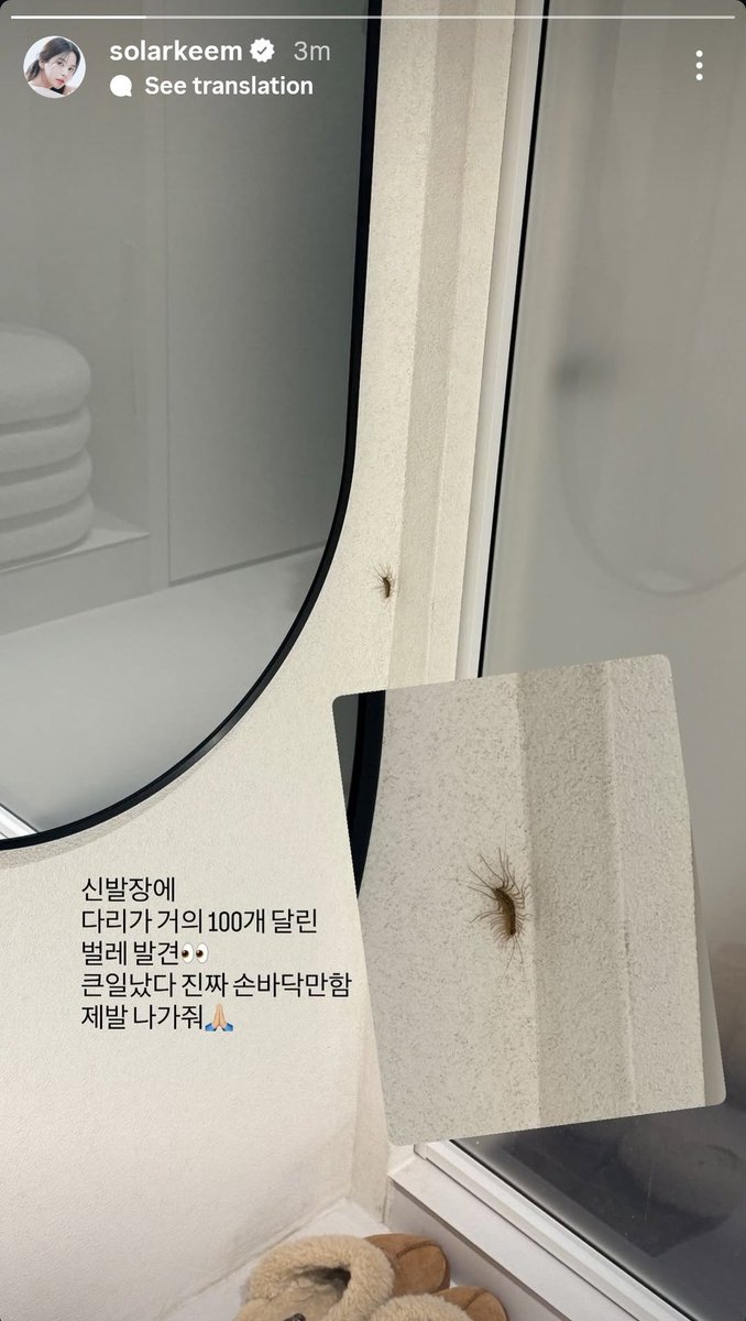 lunaestreIIad0s's tweet image. [Solar IG Story]

Found an insect that has almost 100 legs at the shoe cabinet 👀
This is bad, it's really as big as my palm
Please get out 🙏🏻

#MAMAMOO #SOLAR
#마마무 #솔라