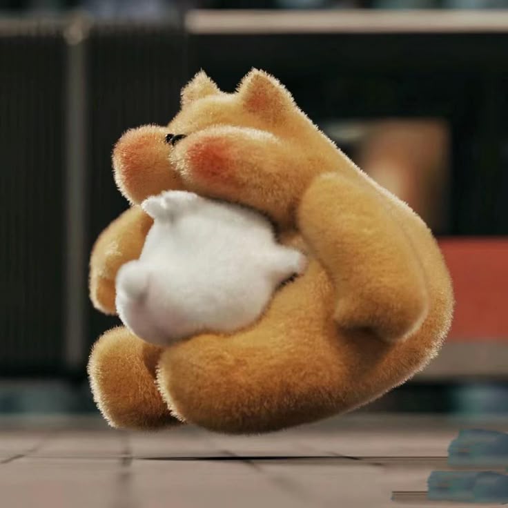 초토 / 𝒄𝒉𝒐𝒄𝒐 𝒓𝒂𝒃𝒃𝒊𝒕 tweet media