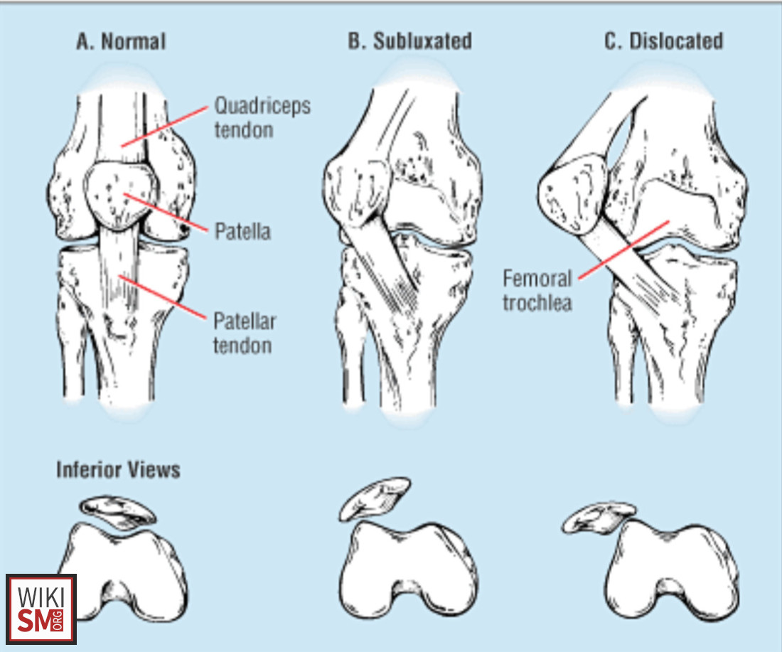 Medical Education tweet media