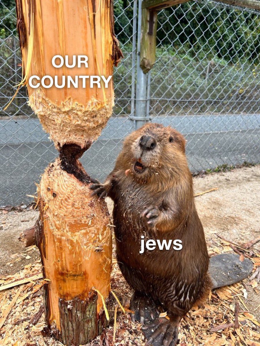 Ignatius🇺🇸 tweet media