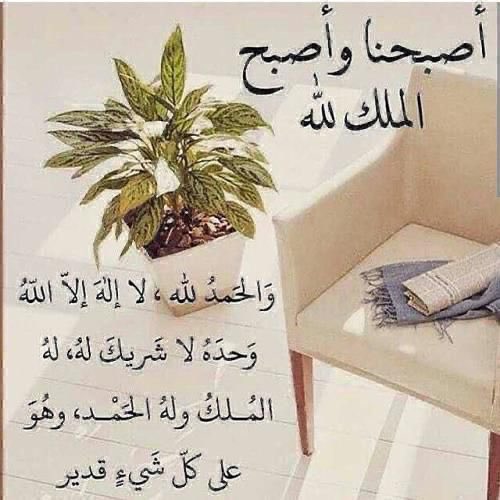 سليمان ابو ريان tweet media