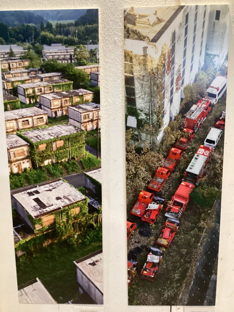 TODAYS GALLERY STUDIO.公式(TOKYO & NAGOYA) tweet media