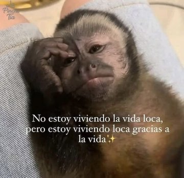 FraseSimple's tweet photo. https://t.co/24ihqfHxVN