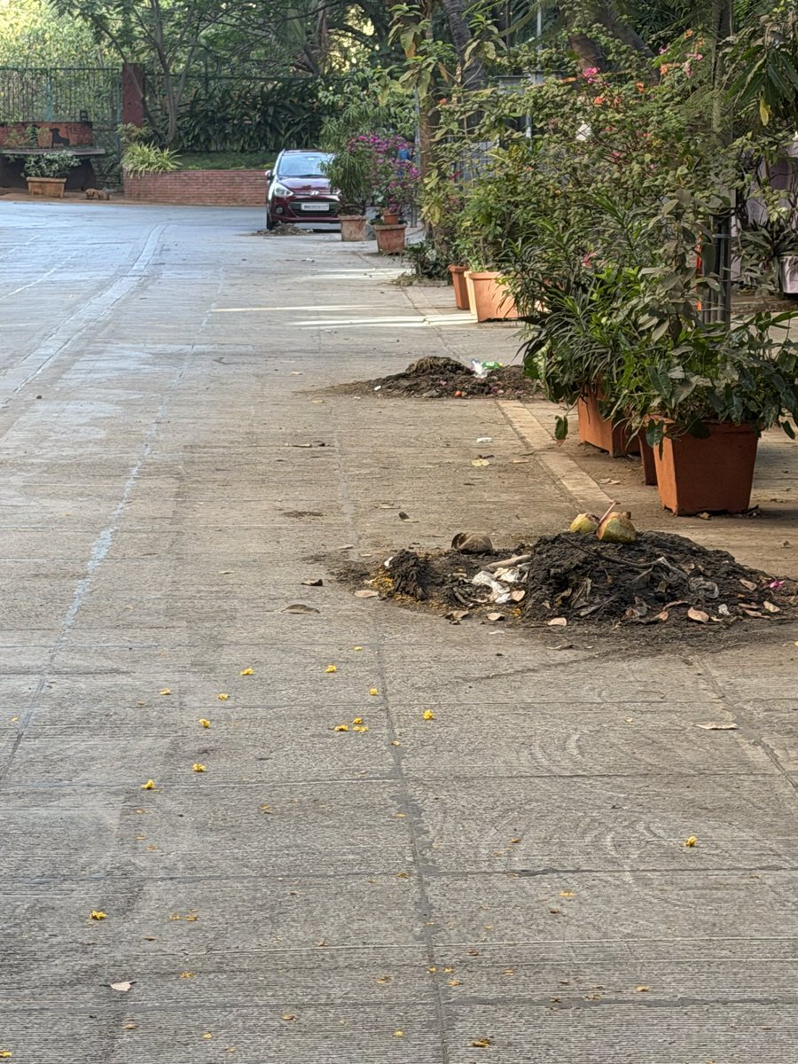 Vash1408's tweet photo. It’s been over 10 days since the drainage lines were cleaned and since then the filth lies on the streets. Is this the cleanliness and hygiene we signed up for ? 
This is at Juhu Versova Link Road and Rajiv Gandhi College lanes
@rohanrathodBJP @mybmc  @AndheriLOCA https://t.co/bNC10aBzvw