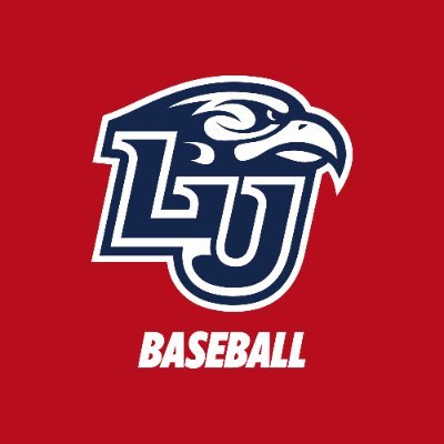 Next Level Baseball tweet media