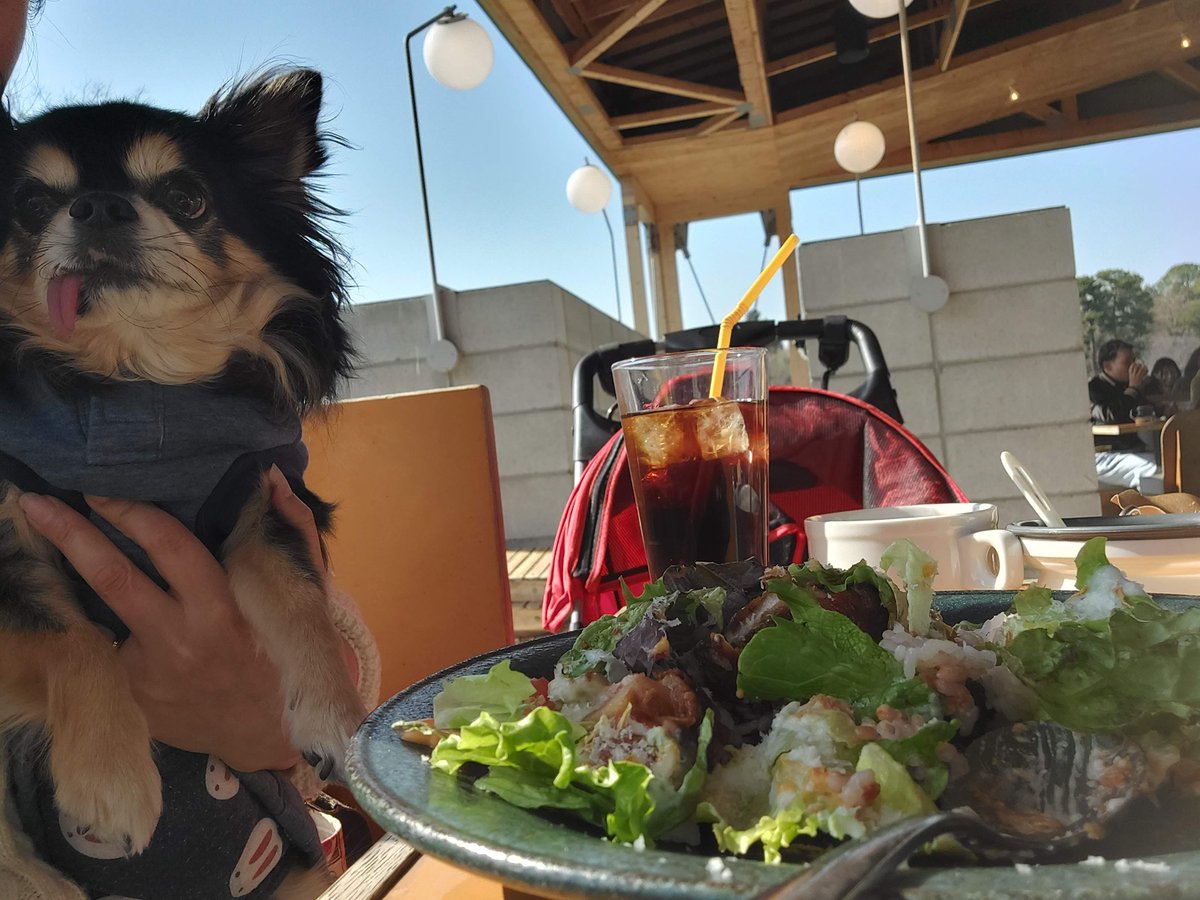 pets_with's tweet photo. 花博記念公園鶴見緑地の大きな池の側にあるレストランカフェに、愛犬とランチに行ってきました☆是非ご覧ください♪
【鶴見緑地駅】「BOTANICAL HOUSE（ボタニカルハウス）」公園の奥でおいしさに包まれるカフェ、しあわせ時間☆犬同伴可【大阪府・大阪市】
https://t.co/lzApgKkCgU https://t.co/ikzK9F1ZKZ