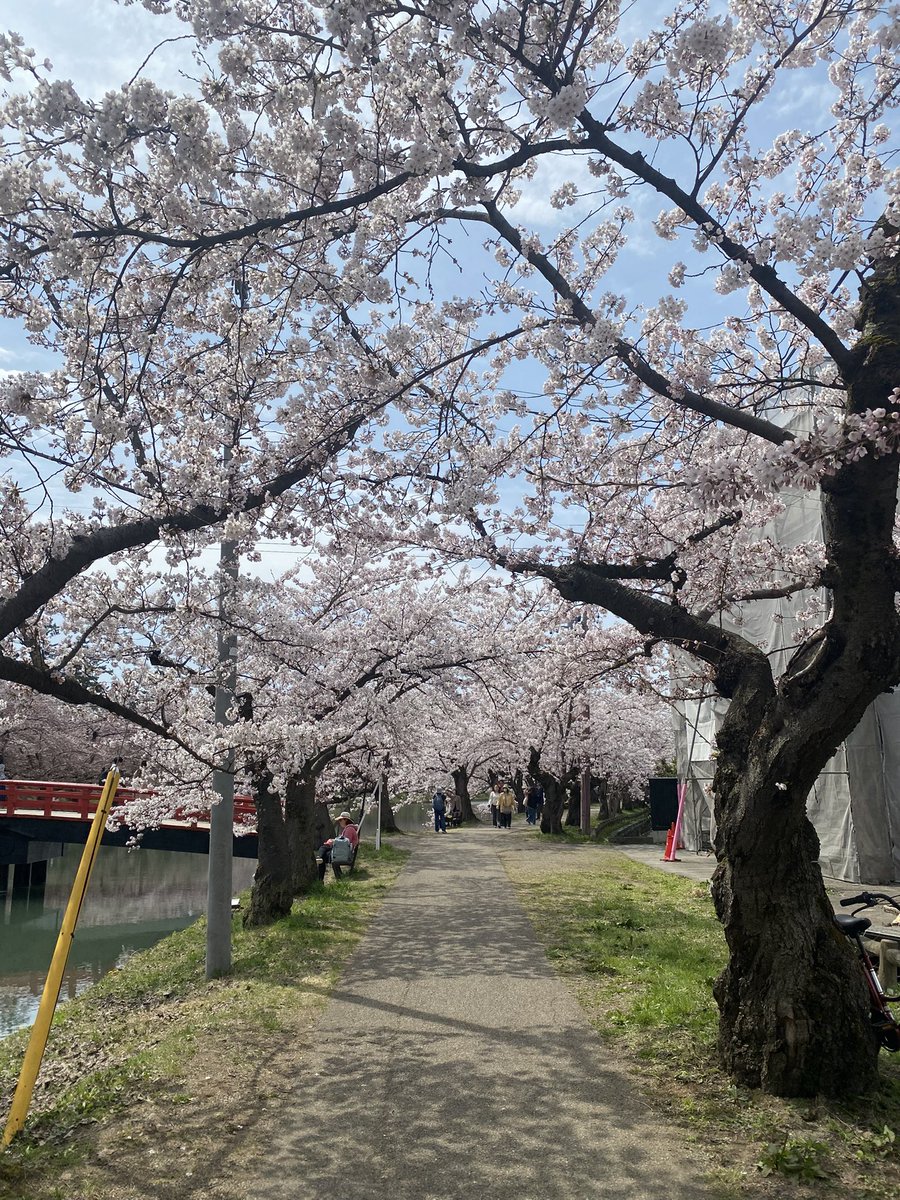 月海うに NEXT❥❥❥4月26日春フェス🍎 tweet media