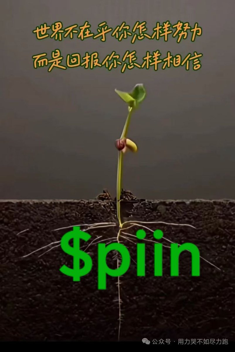Brc_20$piin信仰者丁。 tweet media