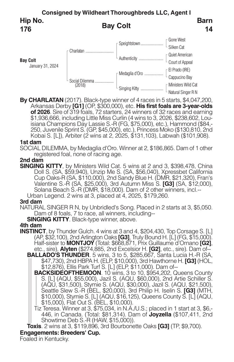 Arroyo Bloodstock tweet media