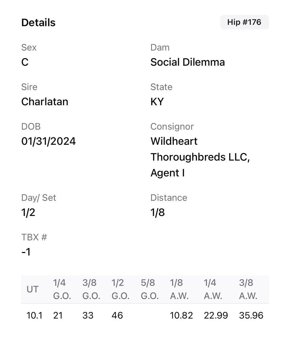 Arroyo Bloodstock tweet media