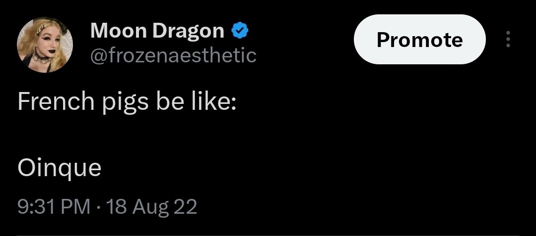 Moon Dragon tweet media