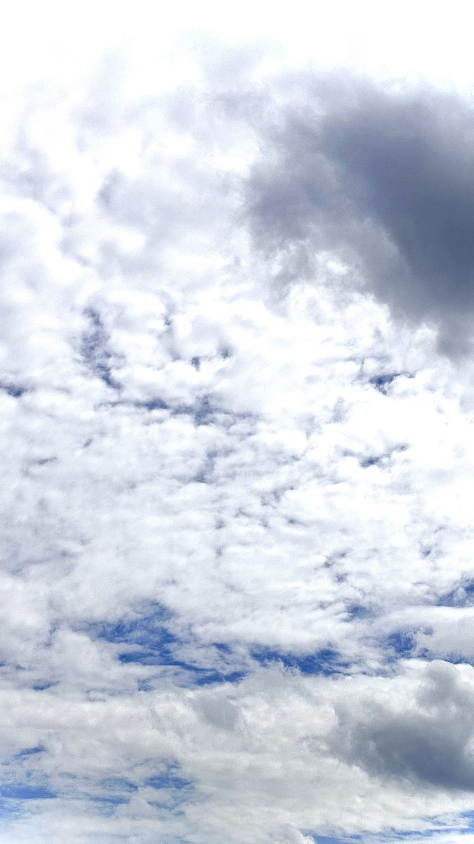 MEGAMAX公式：日本最大級家具アウトレットストア🪑 tweet media