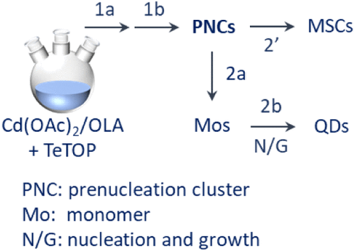 bhkenlo's tweet image. Environmental Polarity Regulating Development of Magic-Size Clusters and Quantum Dots from CdTe Prenucleation Clusters | Inorganic Chemistry pubs.acs.org/doi/10.1021/ac… Yu, Chen, and co-workers @InorgChem #cadmium #telluride #QDs #MSCs #TOA #OLA #PNCs #environmental_polarity #size