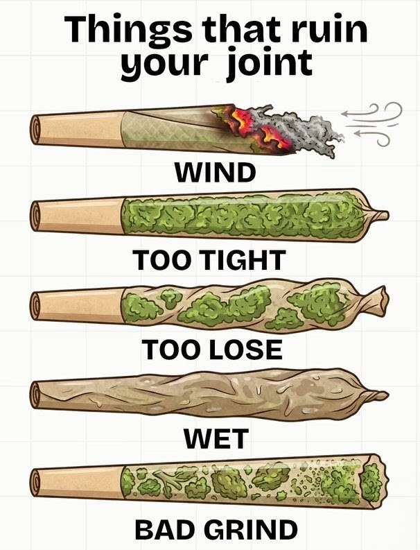 Artek Swaróg🌿💨🇵🇱 tweet media